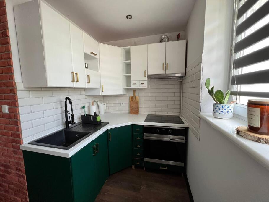 Apartament Loft Поляница-Здруй Экстерьер фото